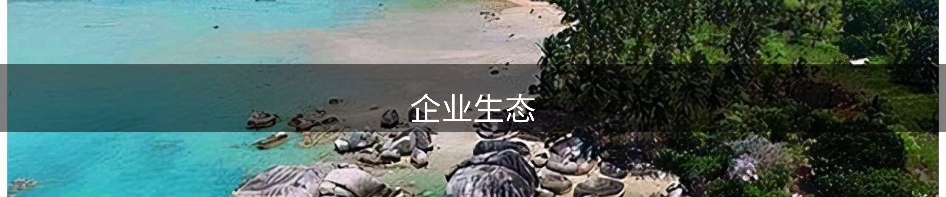 企业生态